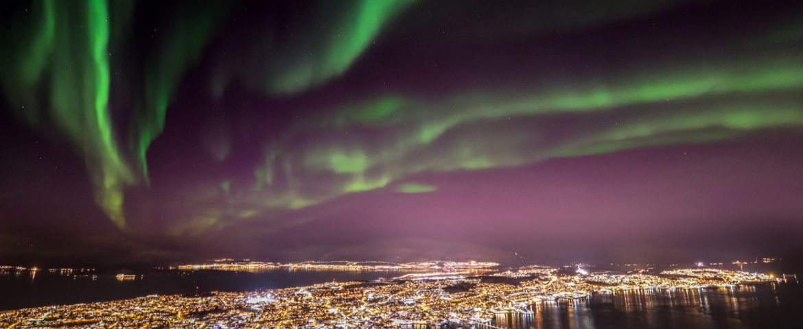 Tromsø City Tour y Centro Polaria