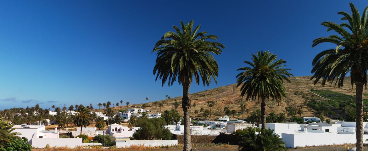 Lanzarote Los Jameos del Agua y el Norte de la Isla